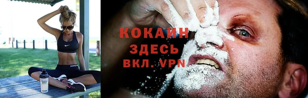 молекула духа Волосово