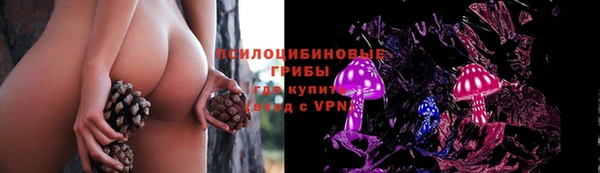 молекула духа Волосово