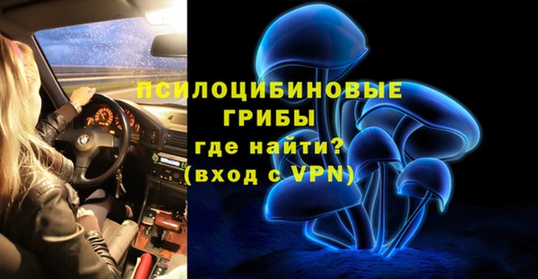 молекула духа Волосово
