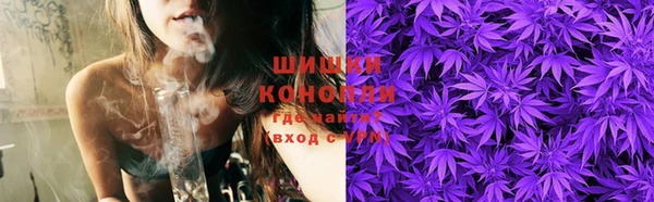 молекула духа Волосово