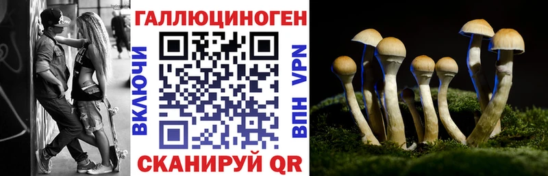 Галлюциногенные грибы MAGIC MUSHROOMS Купить Няндома